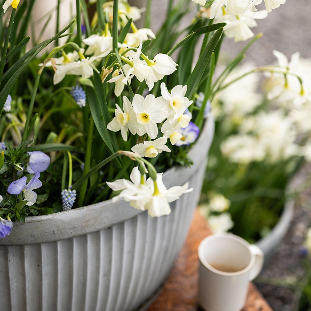 Oval dolly pot - aged zinc