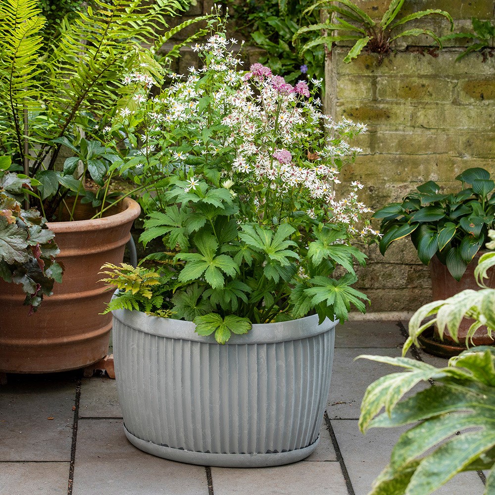 Oval dolly pot - aged zinc