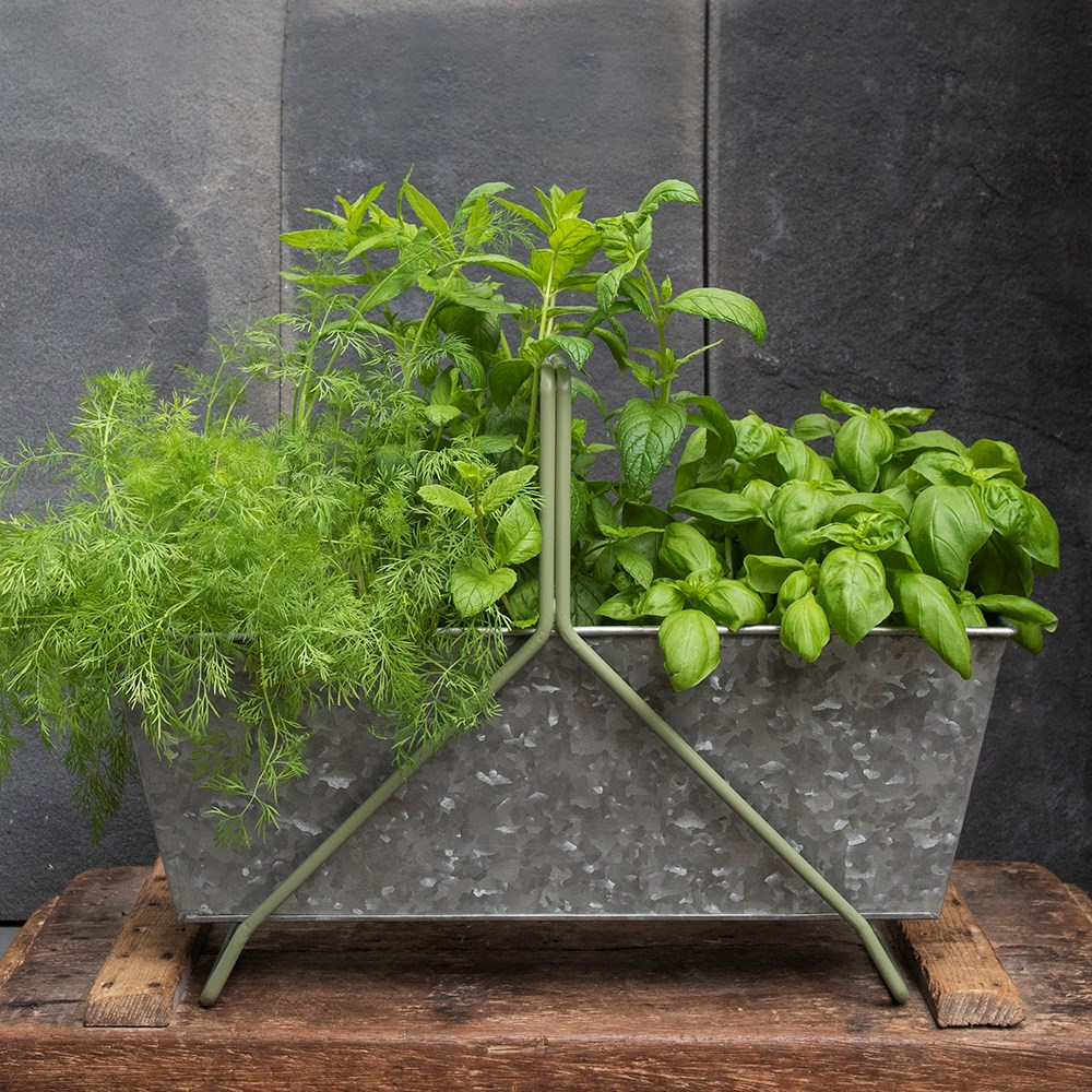 Galvanised metal portable planting trough - Crocus green frame