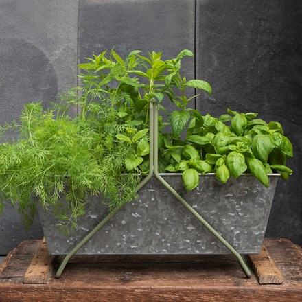 Galvanised metal portable planting trough - Crocus green frame