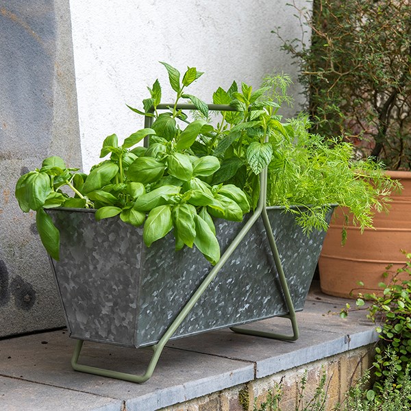 Galvanised metal portable planting trough - Crocus green frame