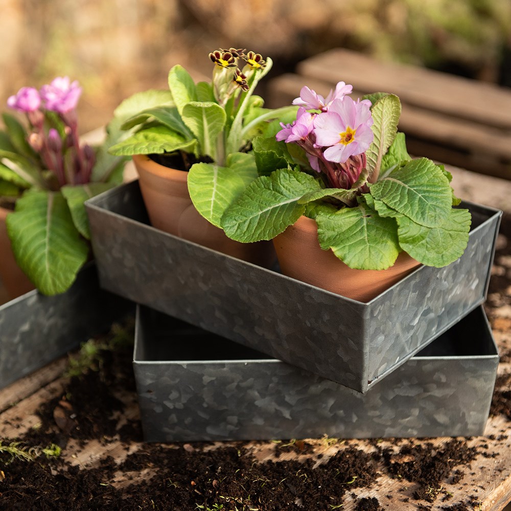Grow trays portrait - set of 3