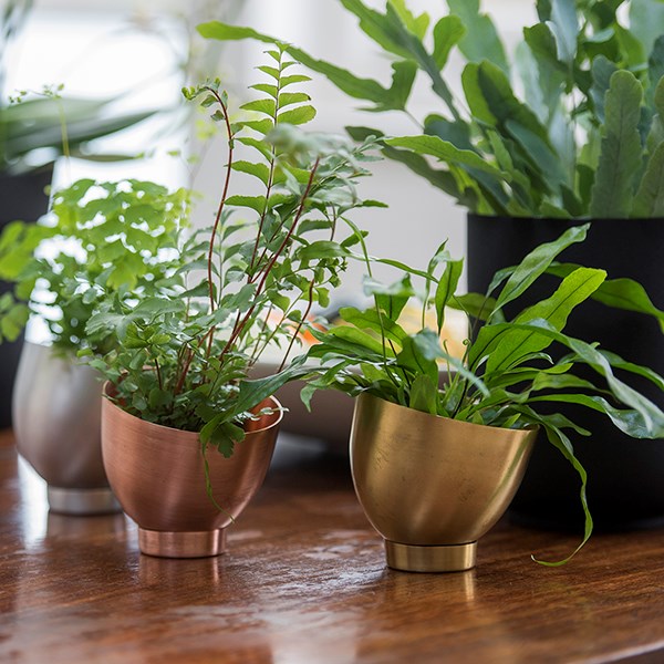 Mini copper tilting pot with saucer