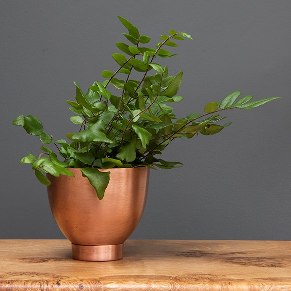 Mini copper tilting pot with saucer