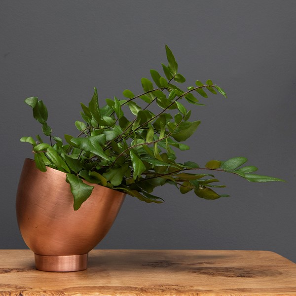Mini copper tilting pot with saucer