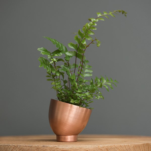 Mini copper tilting pot with saucer