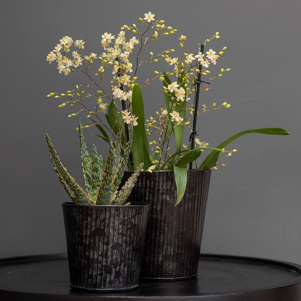 Herringbone zinc metal pot