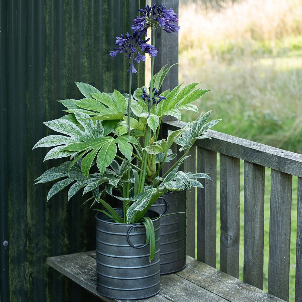 Galvanised metal balcony pot
