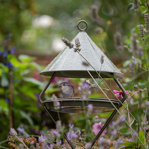 Bird feeding hut on stake - Crocus green