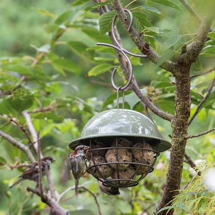 Hanging dome fat snax bird feeder - Crocus green