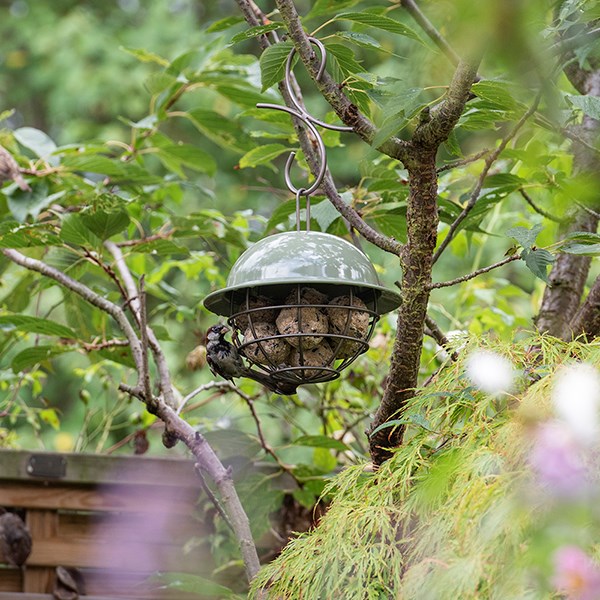 Hanging dome fat snax bird feeder - Crocus green