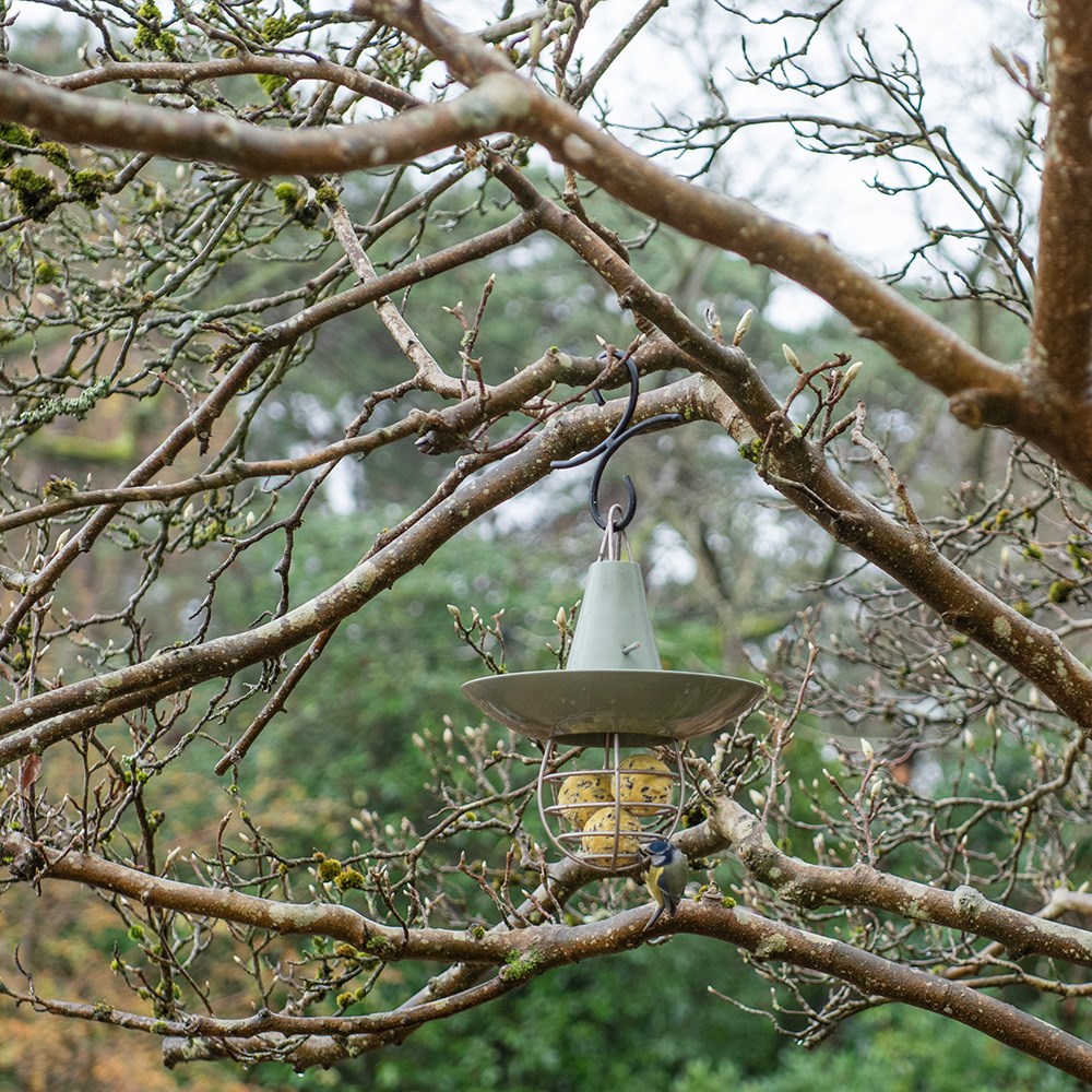 Fat snax feeder and bowl - Crocus green