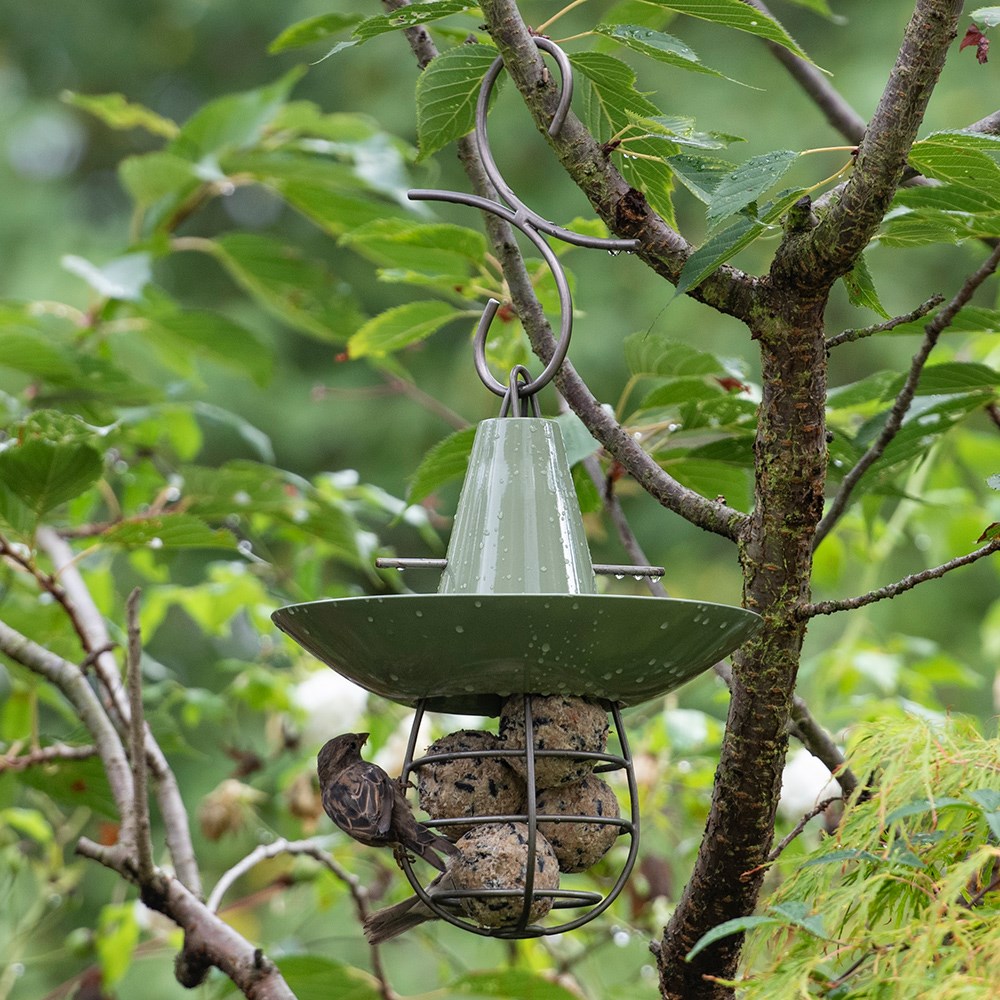 Fat snax feeder and bowl - Crocus green