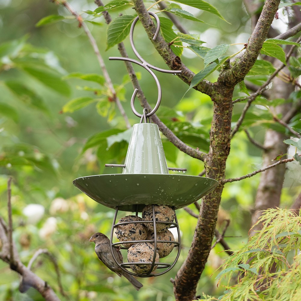 Fat snax feeder and bowl - Crocus green