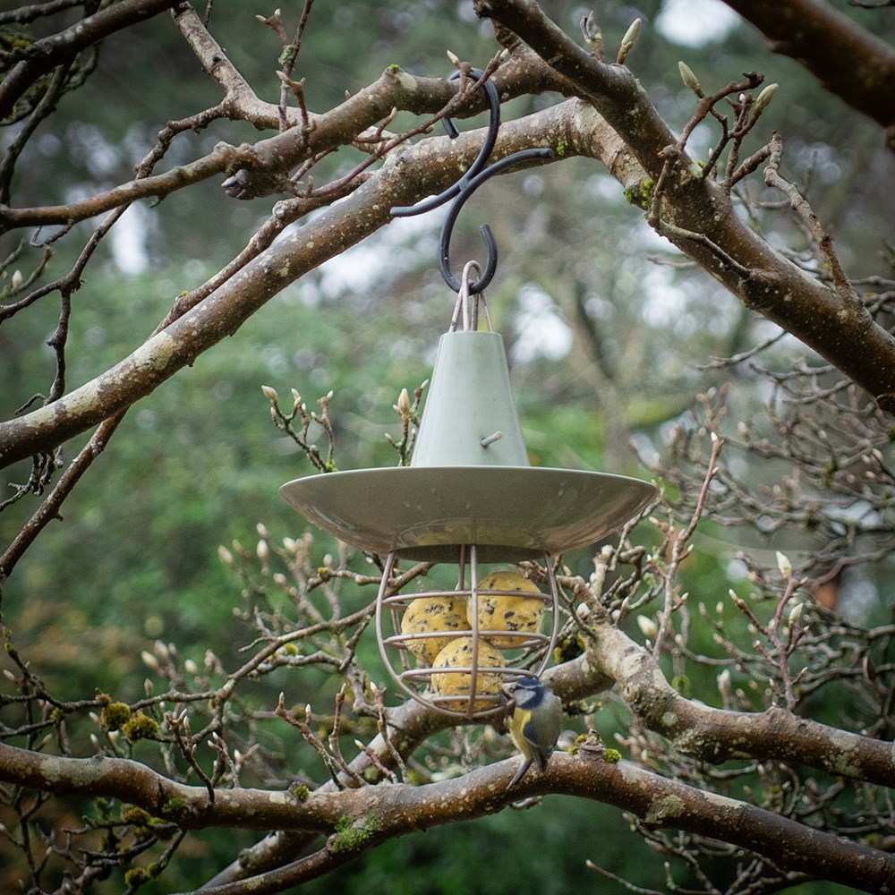 Fat snax feeder and bowl - Crocus green