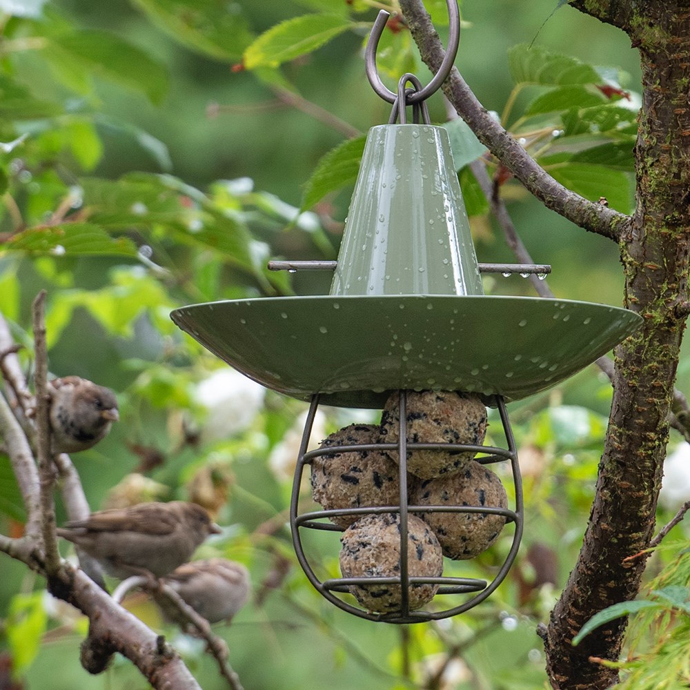 Fat snax feeder and bowl - Crocus green