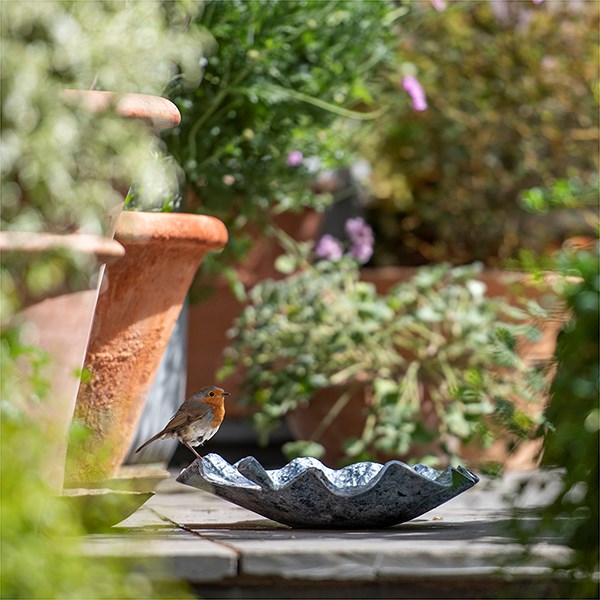 Zinc leaf bird bath