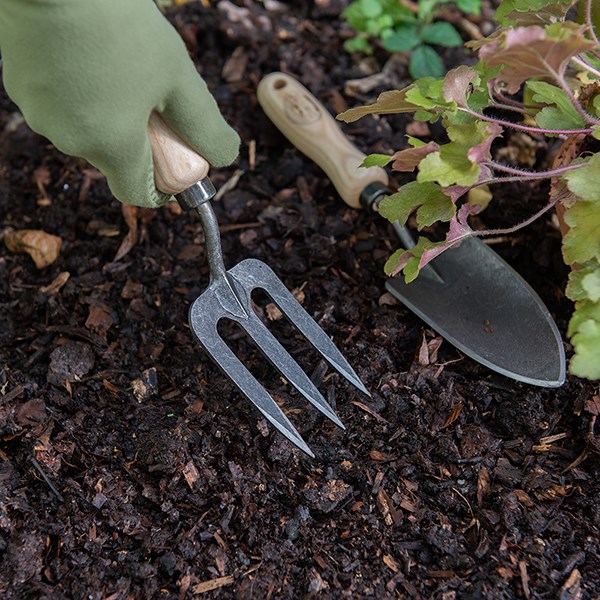 DeWit small hand fork - ash handle