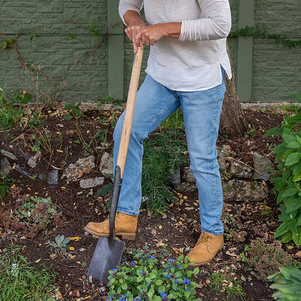 DeWit English pointed spade ash T handle