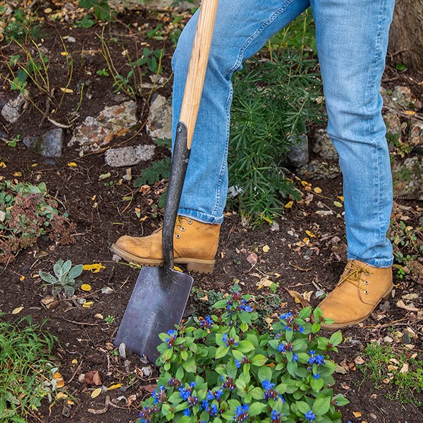 DeWit English pointed spade ash T handle