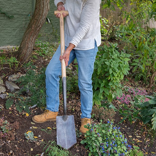 DeWit English pointed spade ash T handle