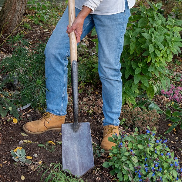 DeWit English pointed spade ash T handle