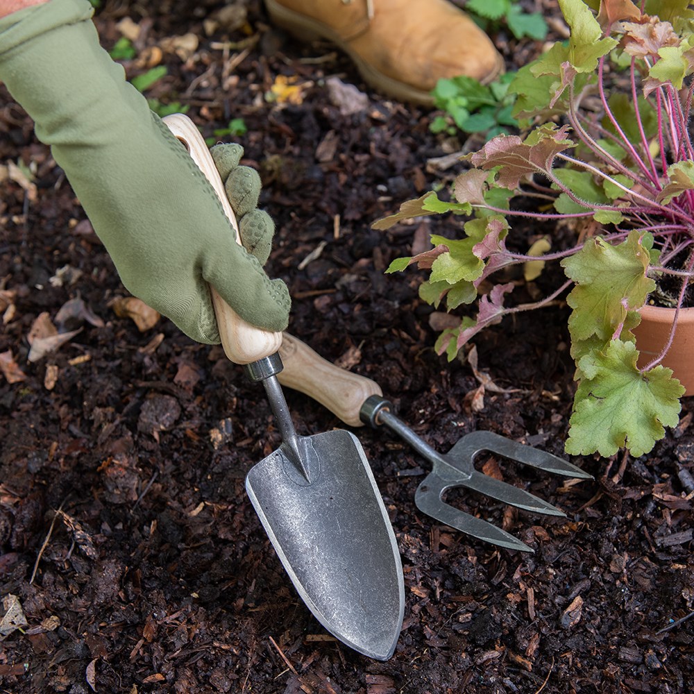 DeWit small hand trowel - ash handle