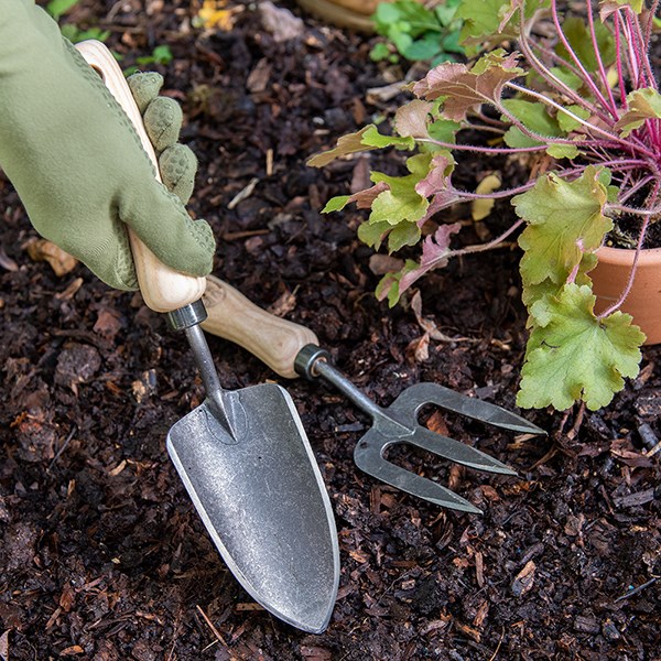 DeWit small hand trowel - ash handle