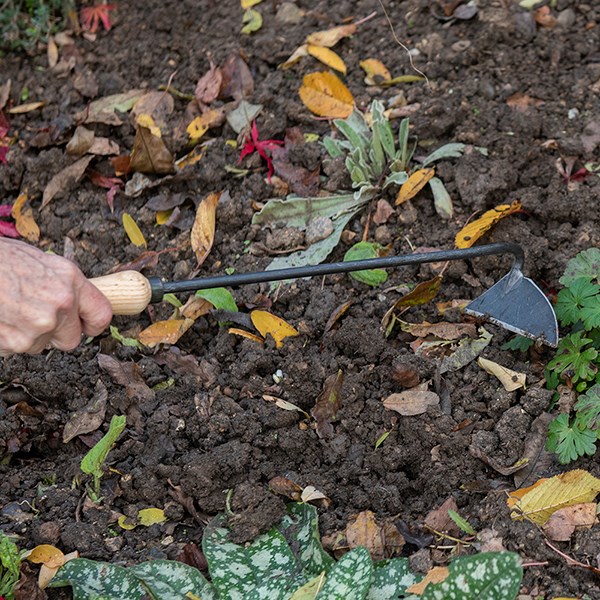 DeWit left handed Dutch hand hoe with ash grip