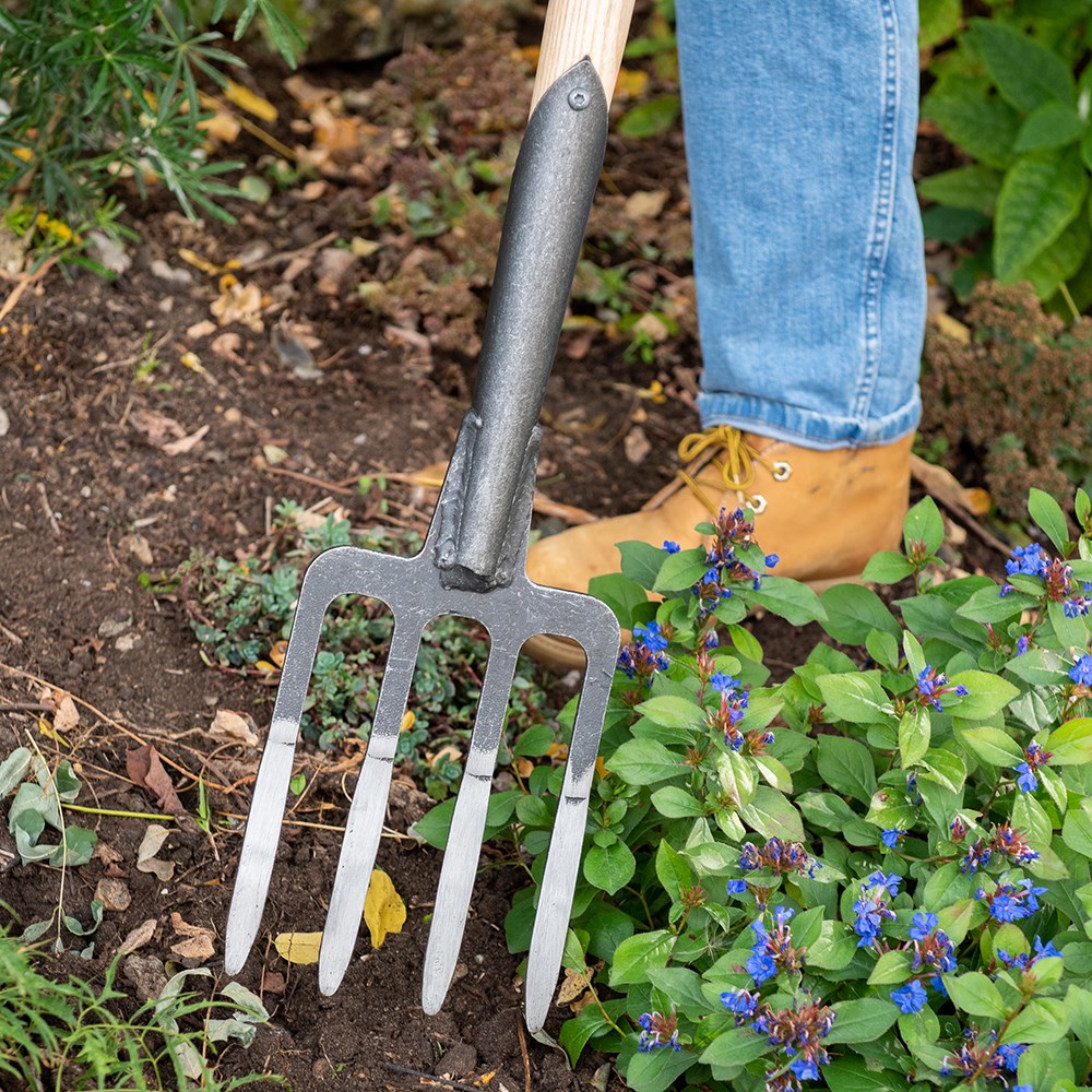 DeWit ladies fork 4 prong ash handle