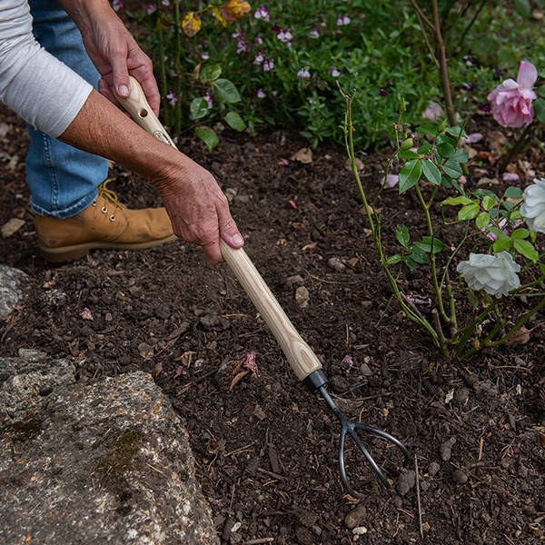 DeWit 3 tine cultivator ash drop grip handle
