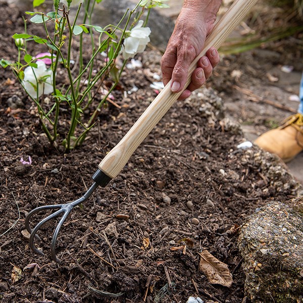 DeWit 3 tine cultivator ash drop grip handle
