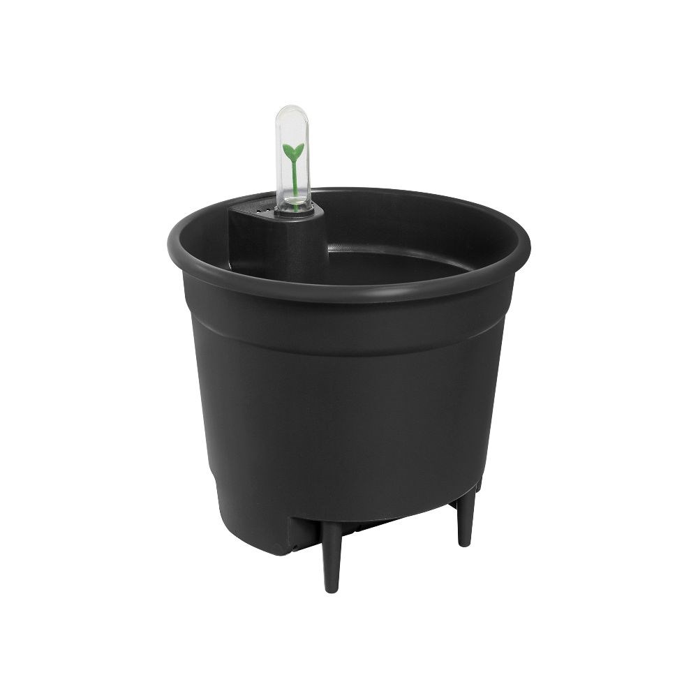 Self watering plant pot insert