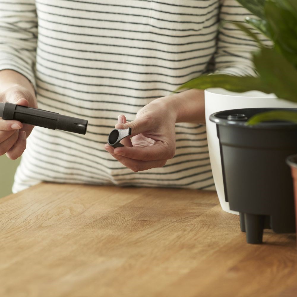 Self watering plant pot insert