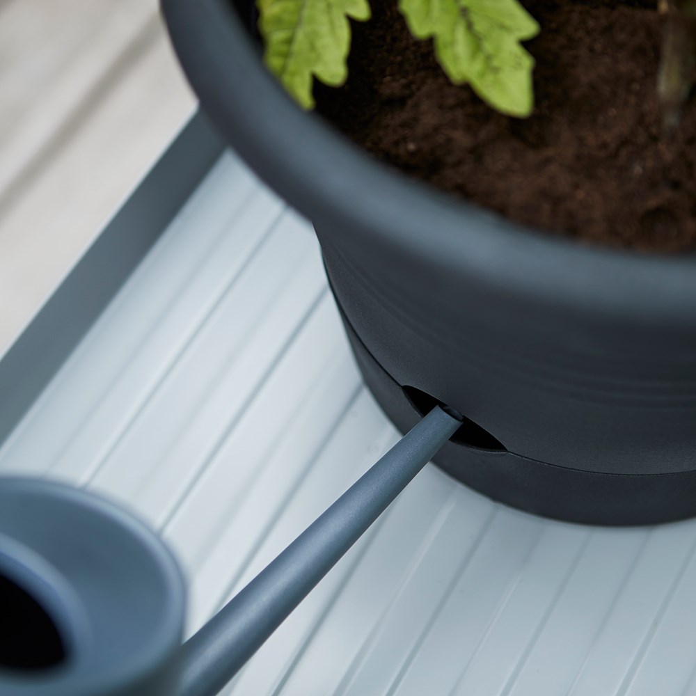 Tomato grow pot with adjustable frame - black