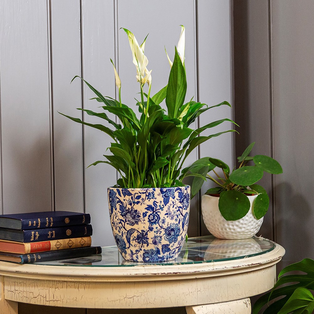 Vintage floral print plant pot - blue
