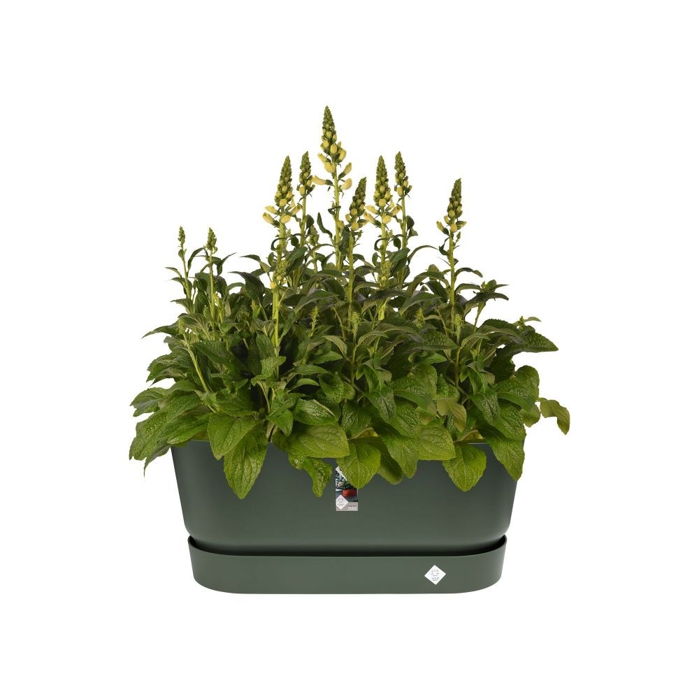Greenville terrace trough on wheels - green