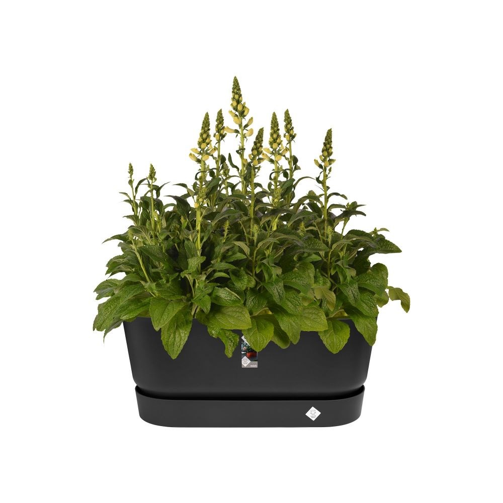 Greenville terrace trough on wheels - black
