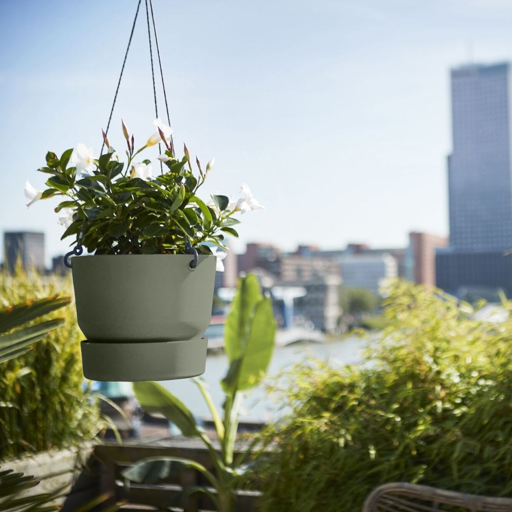 Greenville hanging basket green