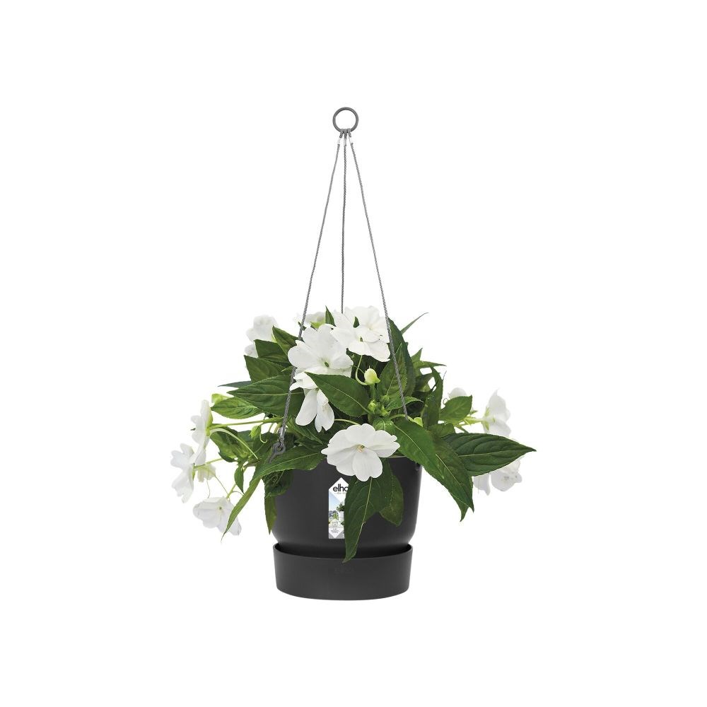 Greenville hanging basket black