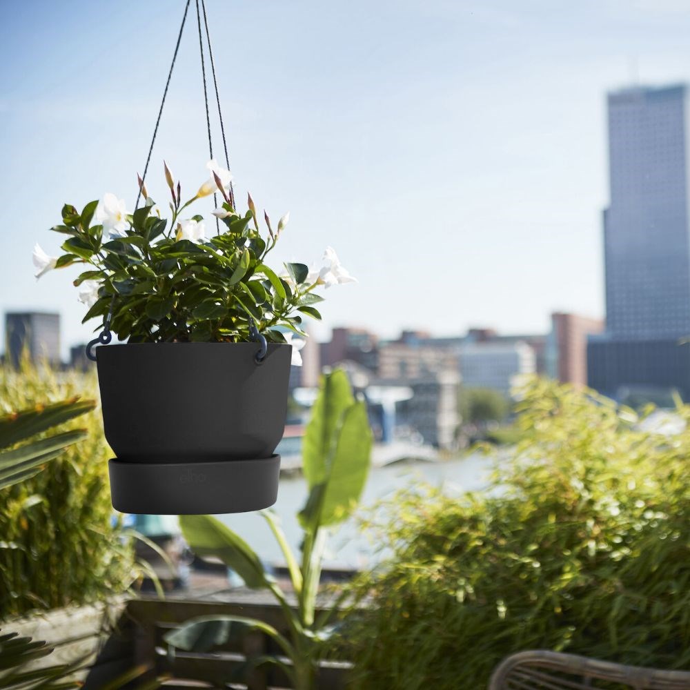 Greenville hanging basket black