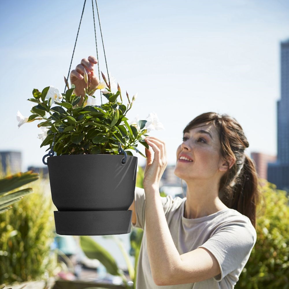 Greenville hanging basket black
