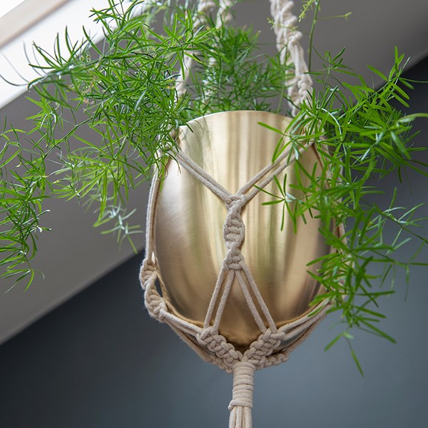 Macrame hanger with brushed brass pot