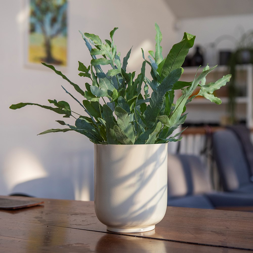 Off white metal pot cover with enamel interior