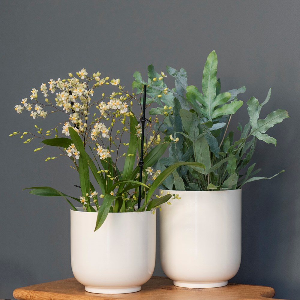 Off white metal pot cover with enamel interior