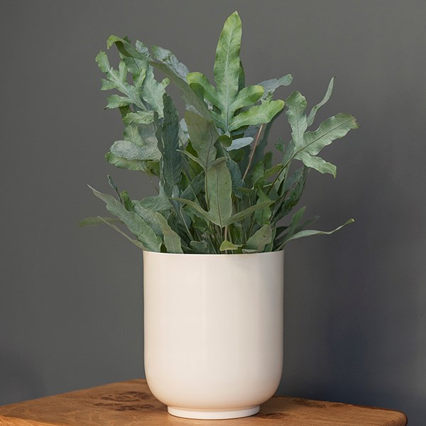 Off white metal pot cover with enamel interior