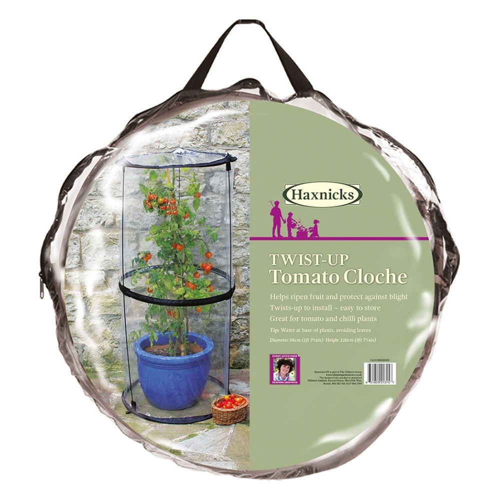 Pop-up tomato cloche