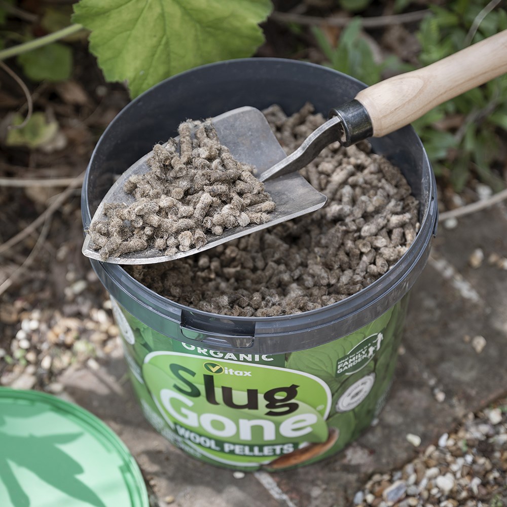 Slug gone wool pellets