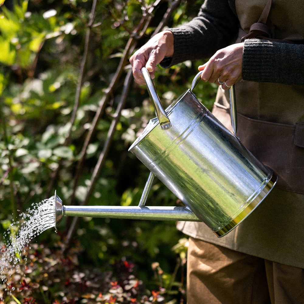 Metal watering can - gold trim