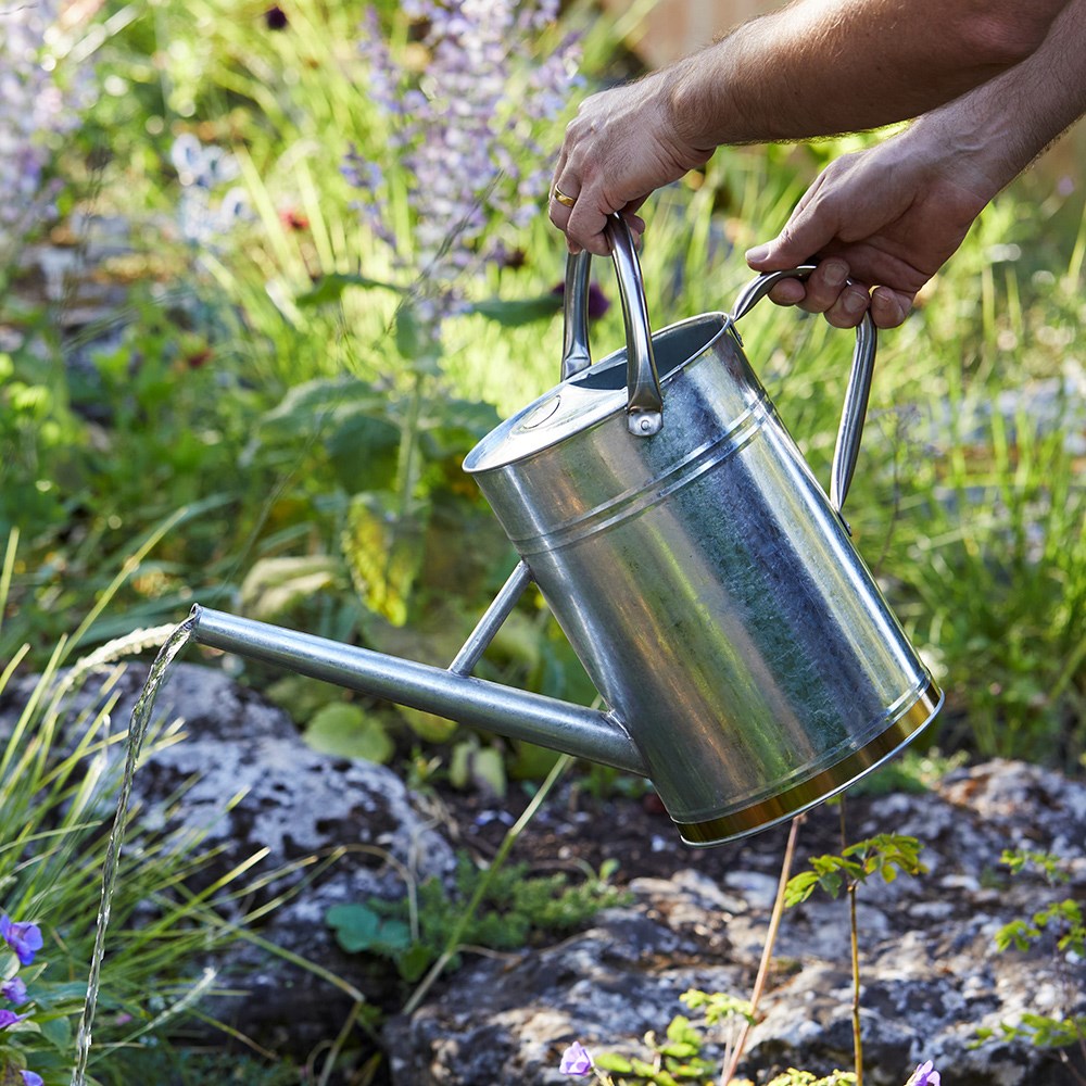 Metal watering can - gold trim